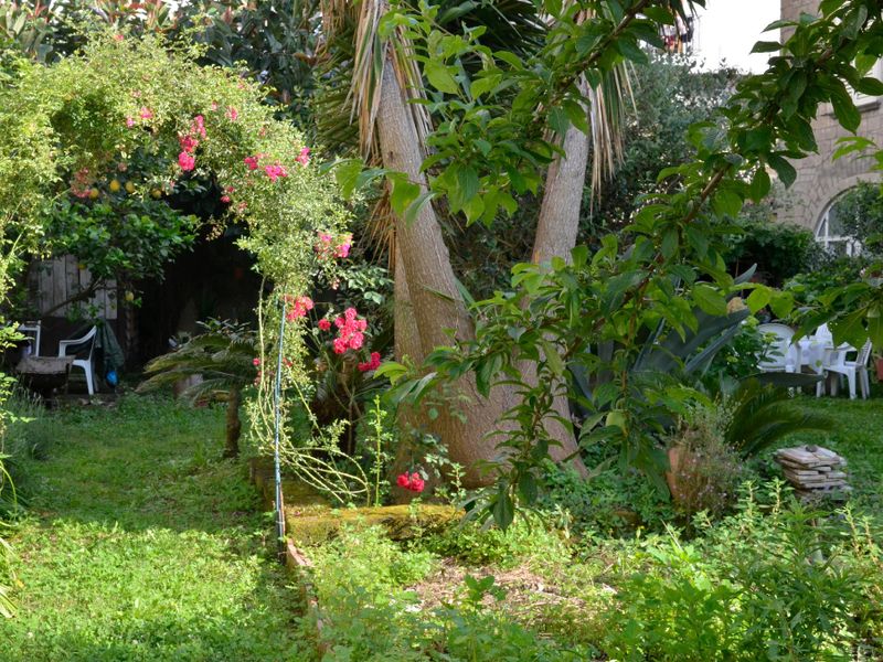 صورة الفندق 1