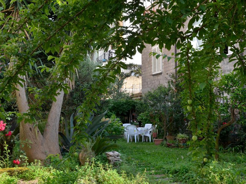 صورة الفندق 3