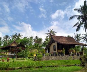 Surrounded by rice field -2bd traditional house! Banyuwangi Indonesia