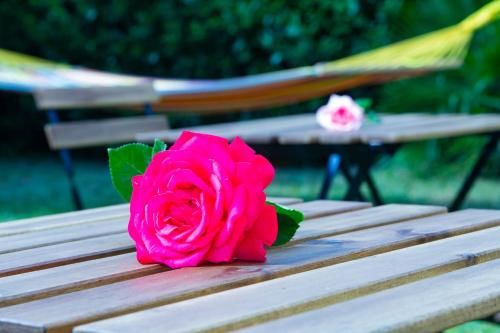 صورة الفندق 11