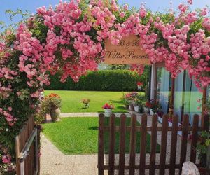 VILLA PASCALE - B&B - CASA VACANZE Castellabate Italy