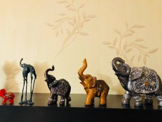 Студия «Веселый слон» Jolly Elephant apartments