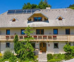 Turistična kmetija Mulej Bled Slovenia