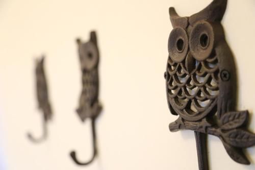 صورة الفندق 20
