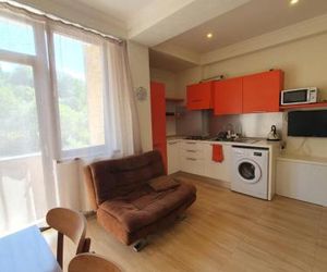 Bakuriani K-2 Apartment Bakuriani Georgia