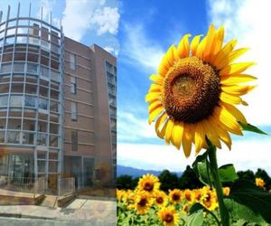 Casa dei girasoli Perugia Italy