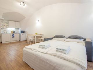 Bright apartment in the very heart of the city