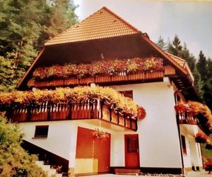 Waldblick im Kuchersbach Hornberg Germany