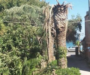 Terra Nova beach apartment for 4 in Ipsos, Corfu Ipsos Greece