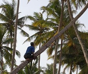 Sekkugala Villa Koggala Sri Lanka