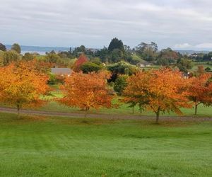 124onbrunswick bed & Breakfast Mourea New Zealand