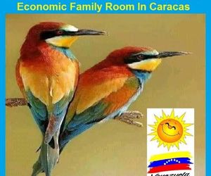 Family Room In Caracas Caracas Venezuela