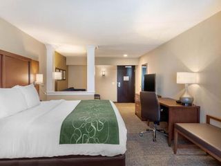 Hotel pic Comfort Inn & Suites Schenectady - Scotia