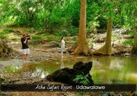 Отзывы Atha Safari Resort & Riverside Camping, 1 звезда