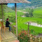 Hotel photo SaPa Farmer House