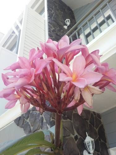 صورة الفندق 16