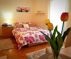 Apartman Lenka Gornja Koviljaca Serbia