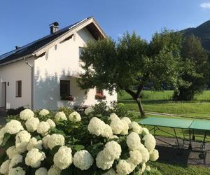 Ferienhaus Franz Eisl Radau 39 St. Wolfgang Austria