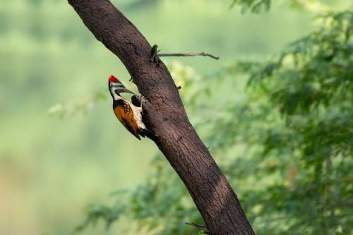 صورة الفندق 13