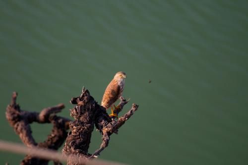 صورة الفندق 19