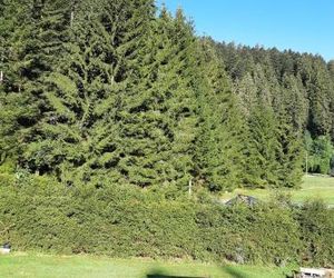 Le 48 Gerardmer France