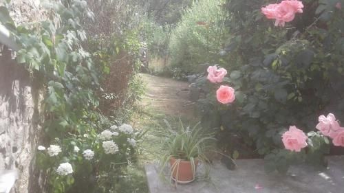 صورة الفندق 20