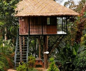 Noahs Nest Tree House Vandiperiyar India
