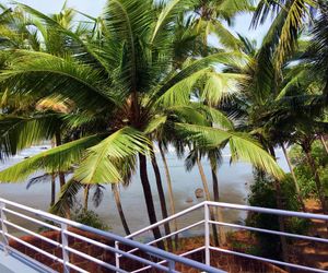 TROPICAL VIBES 5BHK Luxury Beach House Dabolim India