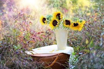 صورة الفندق 15
