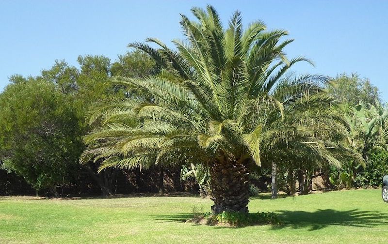 صورة الفندق 8
