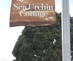 Sea Urchin Cottage Miranda New Zealand