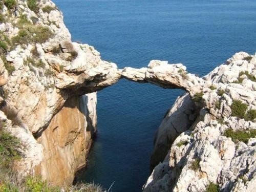 صورة الفندق 13