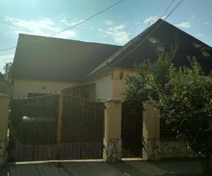 Грушевського 13 Berehove Ukraine