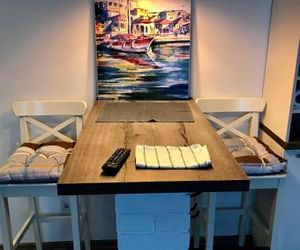 Cozy and stylish apartment near the Onego Lake Petrozavodsk Russia