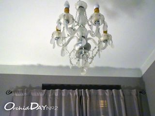 Комната N2 Отель OrchidDay