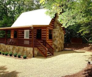 Mountain Laurel Cabin Cosby United States
