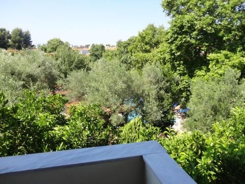 صورة الفندق 5