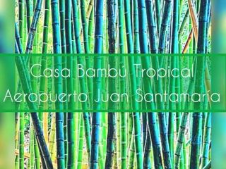 Hotel pic Casa Bambú Tropical