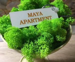 Maya Apartment Cluj-Napoca Romania