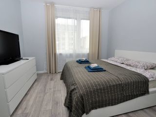 Apartment Pushkin Inkeri