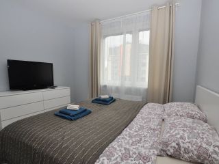 Apartment Pushkin Inkeri