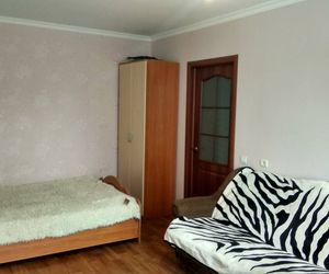 Apartment on Dementyeva 24 Cheboksary Russia