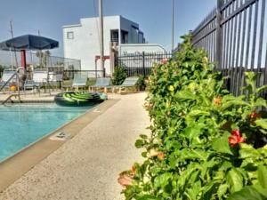 Four Seasons on the Gulf Condo Galveston United States