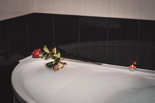 صورة الفندق 24