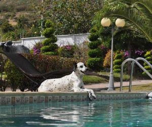 Lujosa Quinta Vacacional Ibarra Ibarra Ecuador