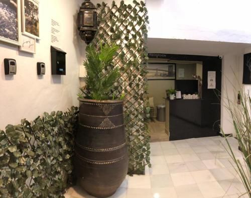 صورة الفندق 1
