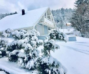 Chalet Le Flocon Bleu - Mauselaine avec vue sur le Lac de Gérardmer Gerardmer France