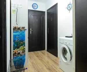 Studiia  sea m Aleksino Russia
