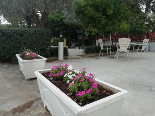 Hotel Photo 13