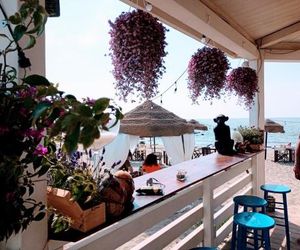 B&B Purple Italy Fiumicino Italy